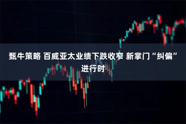 甄牛策略 百威亚太业绩下跌收窄 新掌门“纠偏”进行时