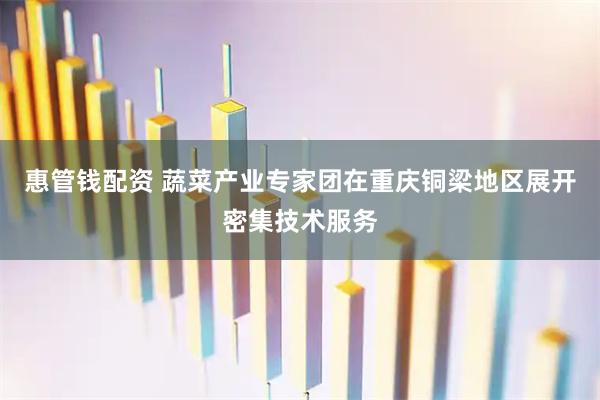 惠管钱配资 蔬菜产业专家团在重庆铜梁地区展开密集技术服务