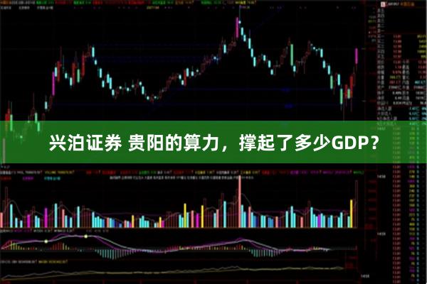 兴泊证券 贵阳的算力，撑起了多少GDP？
