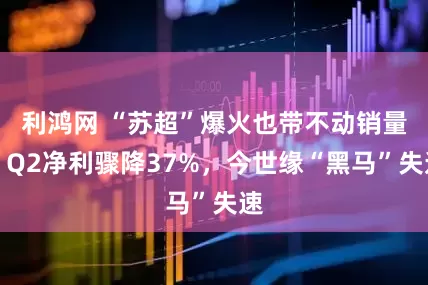 利鸿网 “苏超”爆火也带不动销量，Q2净利骤降37%，今世缘“黑马”失速