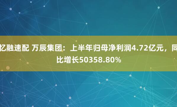 忆融速配 万辰集团：上半年归母净利润4.72亿元，同比增长50358.80%