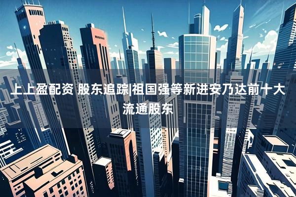 上上盈配资 股东追踪|祖国强等新进安乃达前十大流通股东