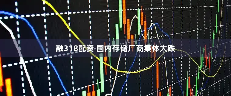 融318配资 国内存储厂商集体大跌