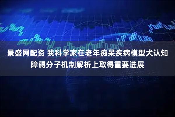 景盛网配资 我科学家在老年痴呆疾病模型犬认知障碍分子机制解析上取得重要进展