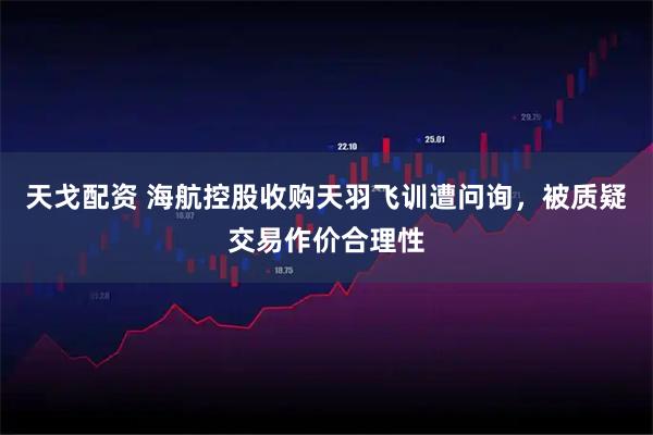 天戈配资 海航控股收购天羽飞训遭问询，被质疑交易作价合理性