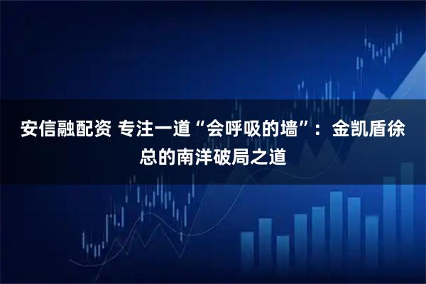 安信融配资 专注一道“会呼吸的墙”：金凯盾徐总的南洋破局之道