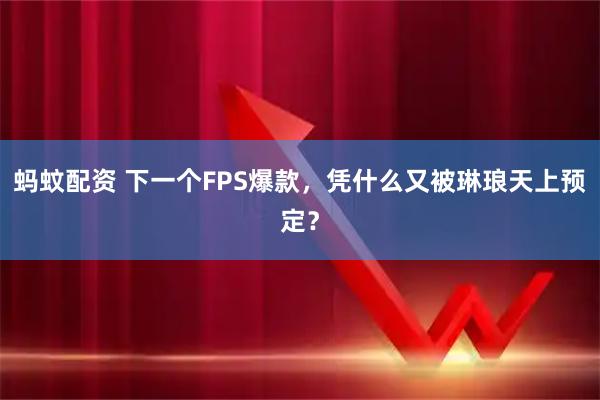 蚂蚊配资 下一个FPS爆款，凭什么又被琳琅天上预定？